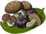 Mushroom Recipe